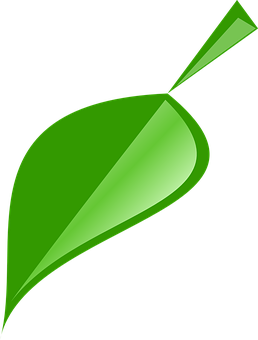 Green Vector Leaf Illustration PNG image