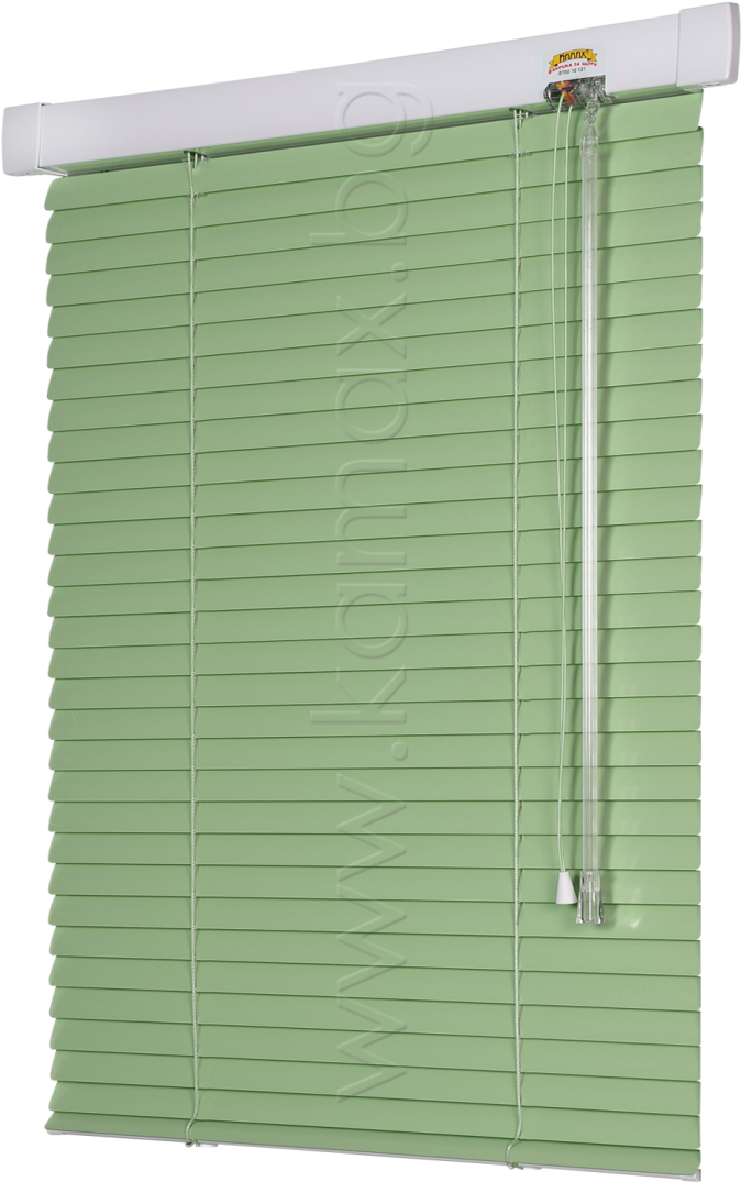 Green Venetian Blind PNG image