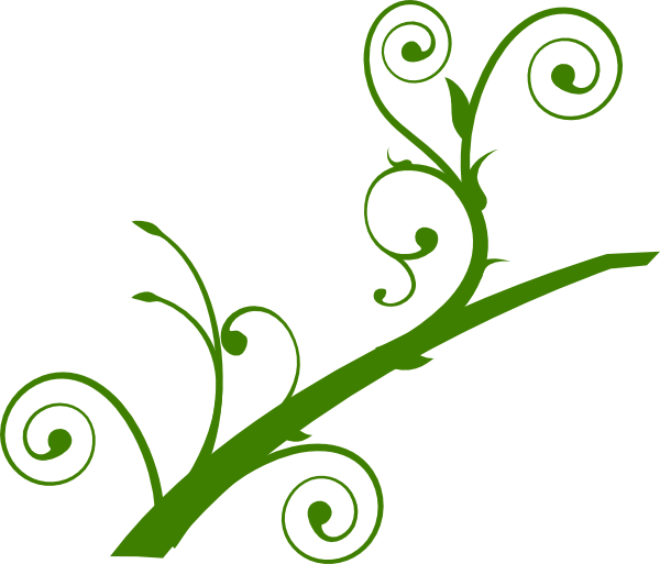 Green Vine Flourish Graphic PNG image