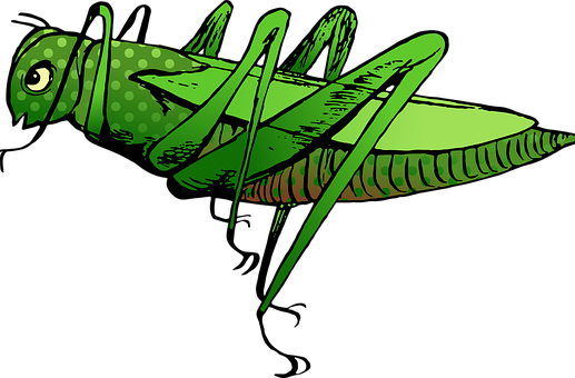 Green Vintage Insect Illustration PNG image