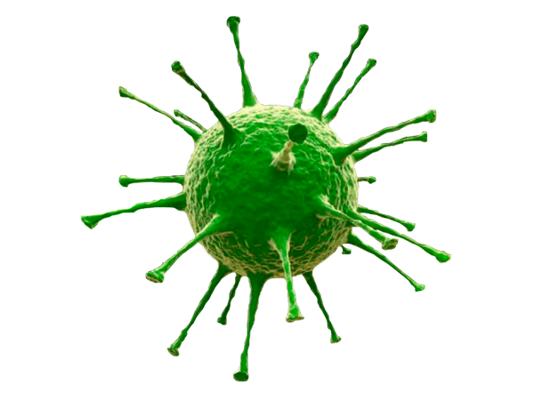 Green Virus Model3 D Rendering PNG image