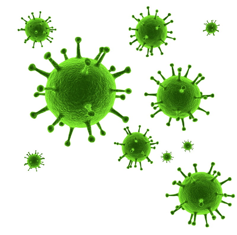 Green Virus Particles3 D Illustration PNG image
