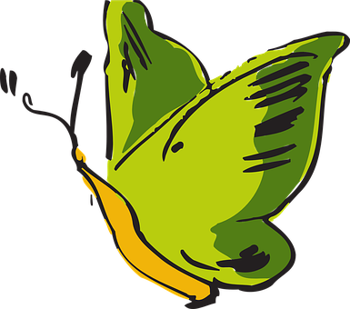 Green Yellow Butterfly Illustration PNG image