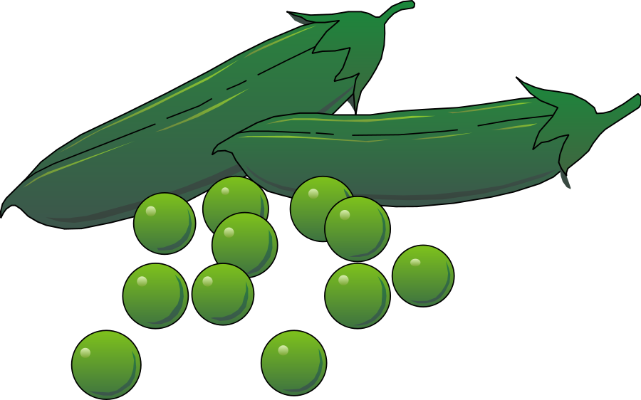 Green Zucchiniand Peas Illustration PNG image