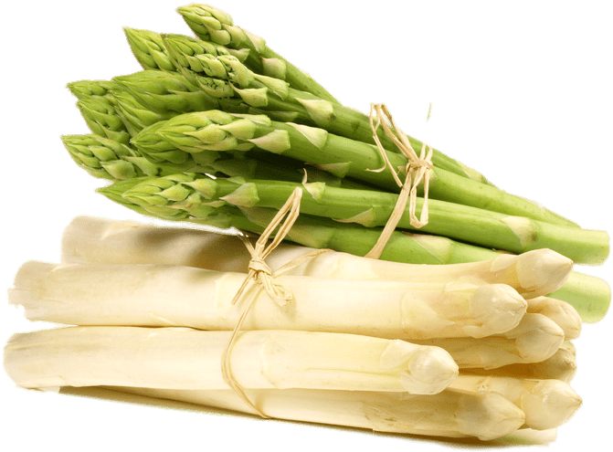 Greenand White Asparagus Bunches PNG image