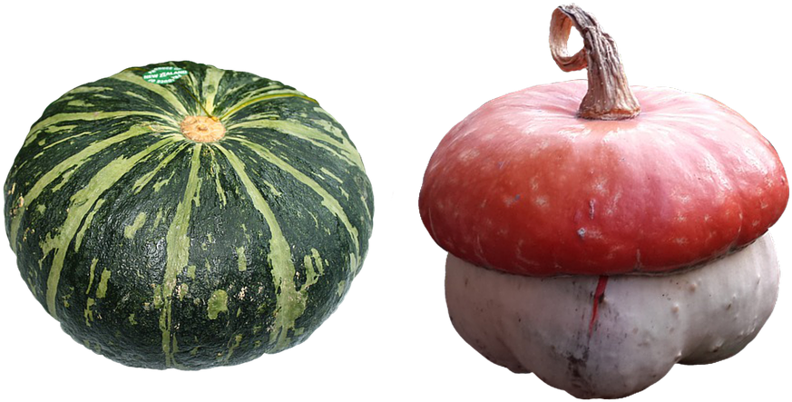 Greenand White Kabocha Red Turban Squash PNG image