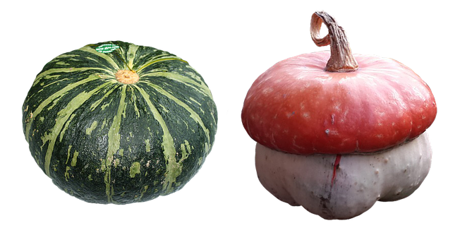 Greenand White Striped Pumpkinand Red Turban Squash PNG image