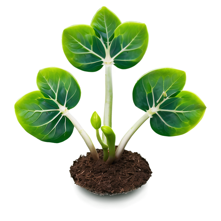 Greenery Sprout Png 91 PNG image