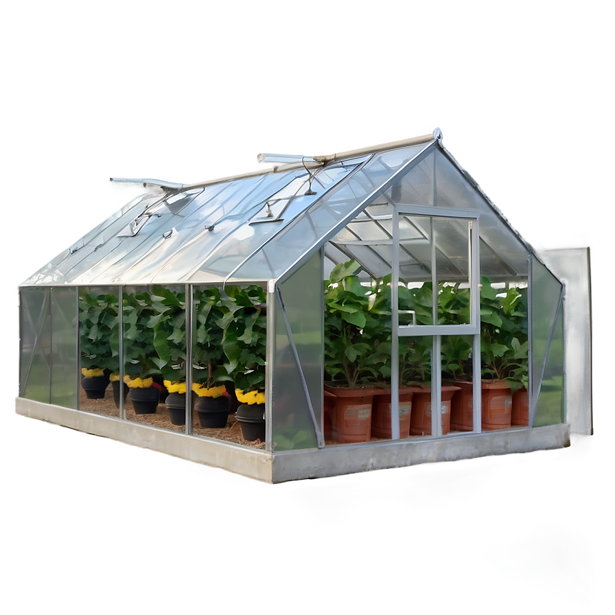 Greenhouse D PNG image