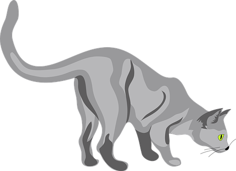 Grey Cat Vector Illustration PNG image
