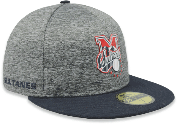 Greyand Navy Baseball Cap PNG image