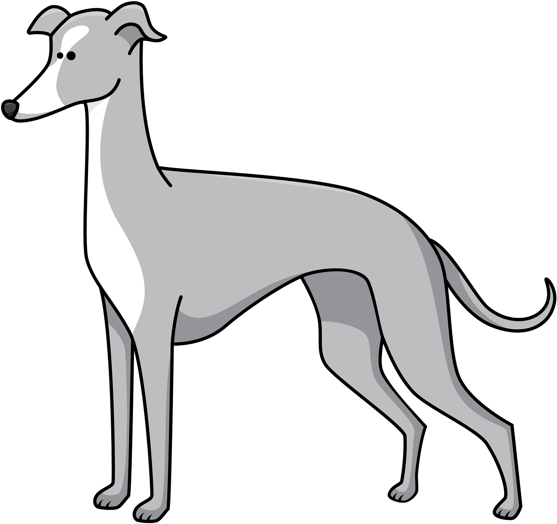 Greyhound Cartoon Illustration PNG image