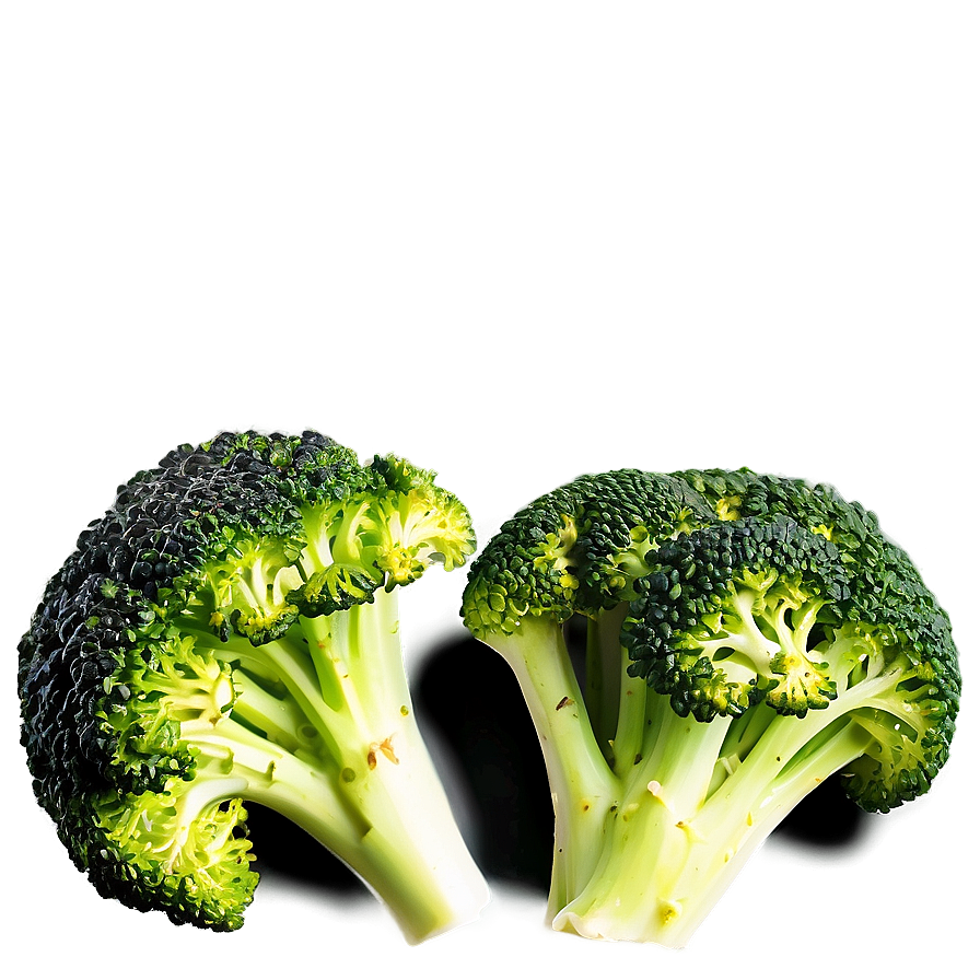 Grilled Broccoli Png 05232024 PNG image