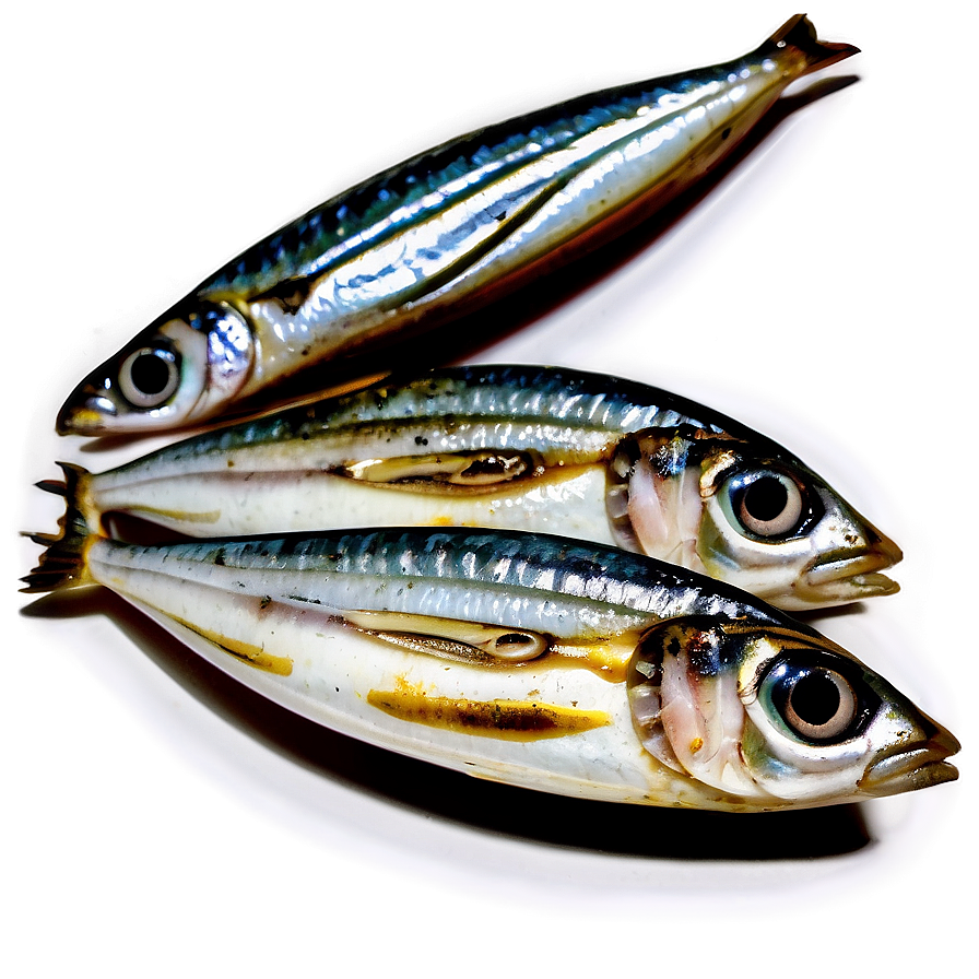 Grilled Sardine Png 89 PNG image