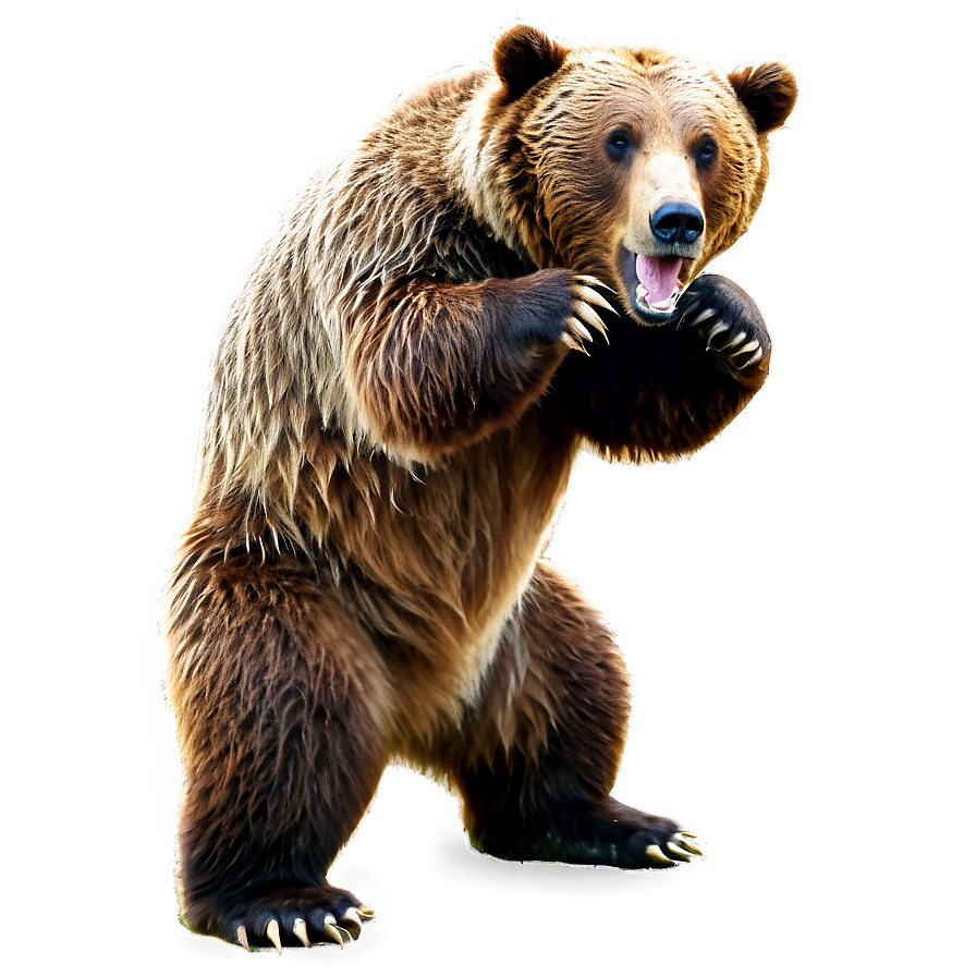 Grizzly Bear Image Png 17 PNG image