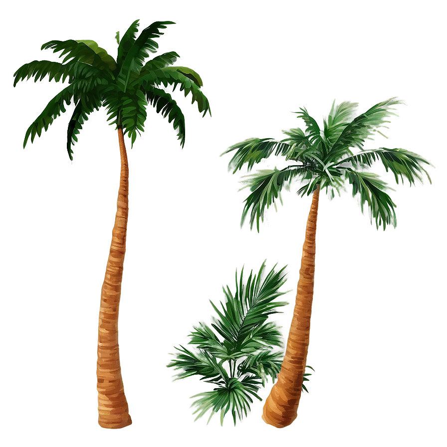 Group Of Palm Trees Png 37 PNG image