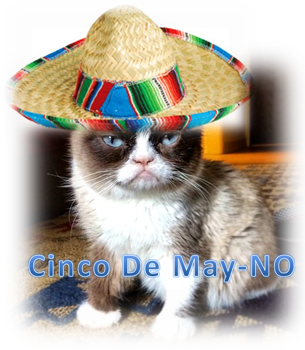 Grumpy Cat Cinco De Mayo Hat Meme PNG image