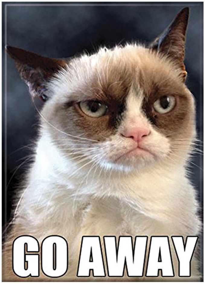 Grumpy Cat Go Away Meme PNG image