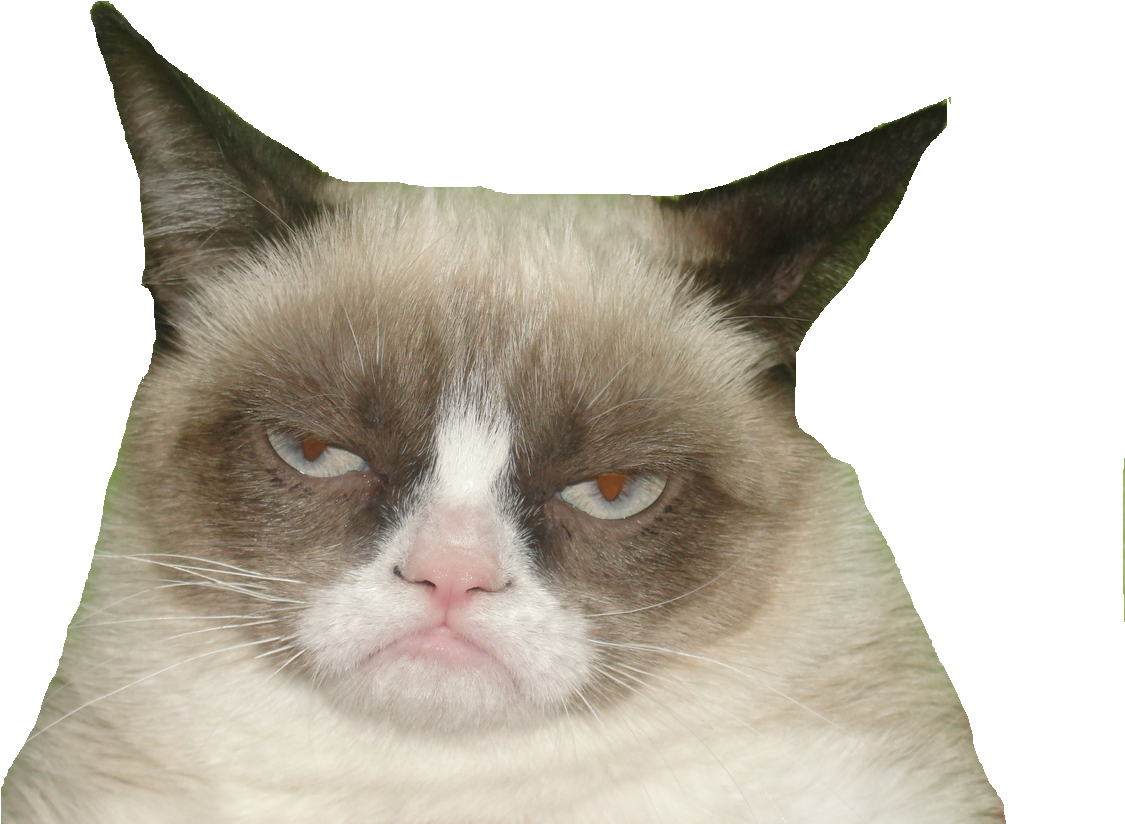 Grumpy Cat Meme Classic PNG image