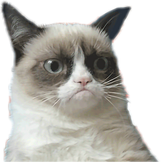 Grumpy Cat Meme Portrait PNG image