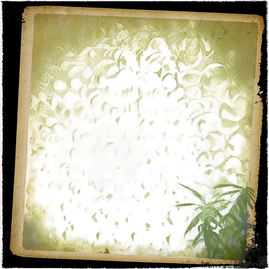 Grunge Polaroid Film Texture Png Kxq PNG image