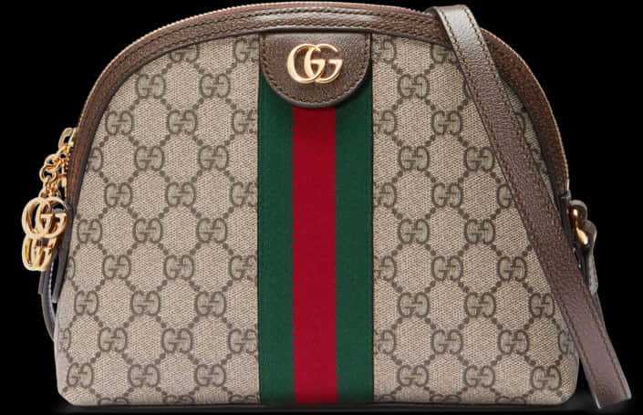 Gucci Signature Canvas Shoulder Bag PNG image