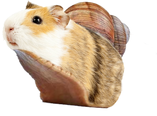 Guinea Pig Shell Hybrid Creature PNG image