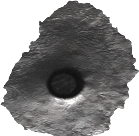 Gunshot Entry Hole_ Closeup PNG image