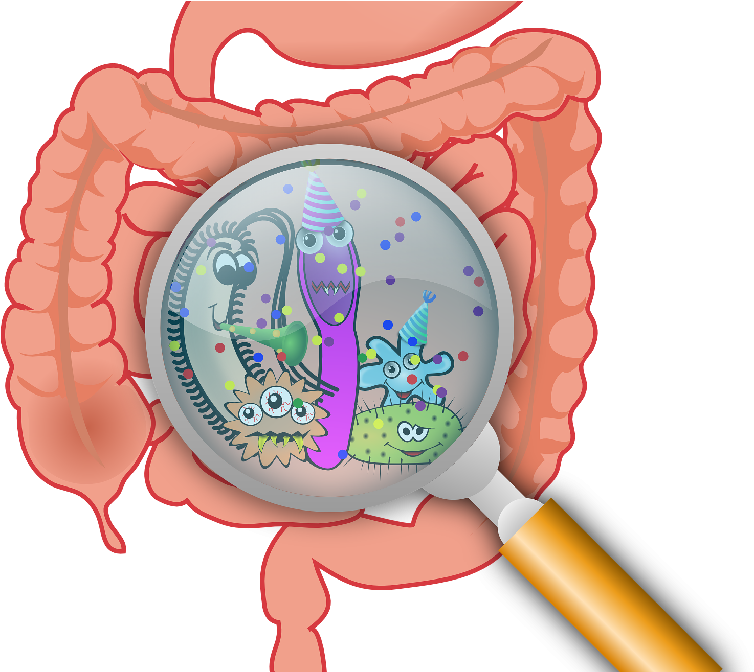 Gut Bacteria Cartoon Magnified PNG image