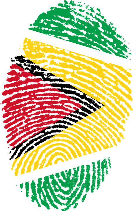 Guyana Flag Fingerprint Art PNG image