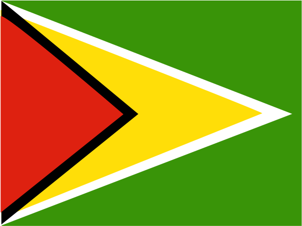 Guyana National Flag PNG image