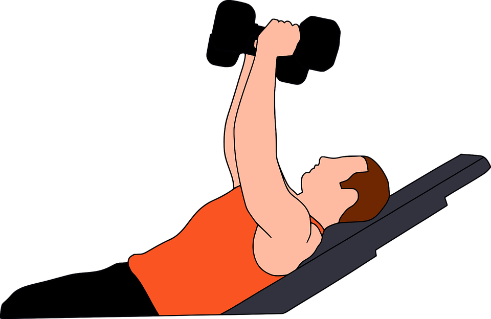 Gym Weightlifting Exercise Clipart PNG image