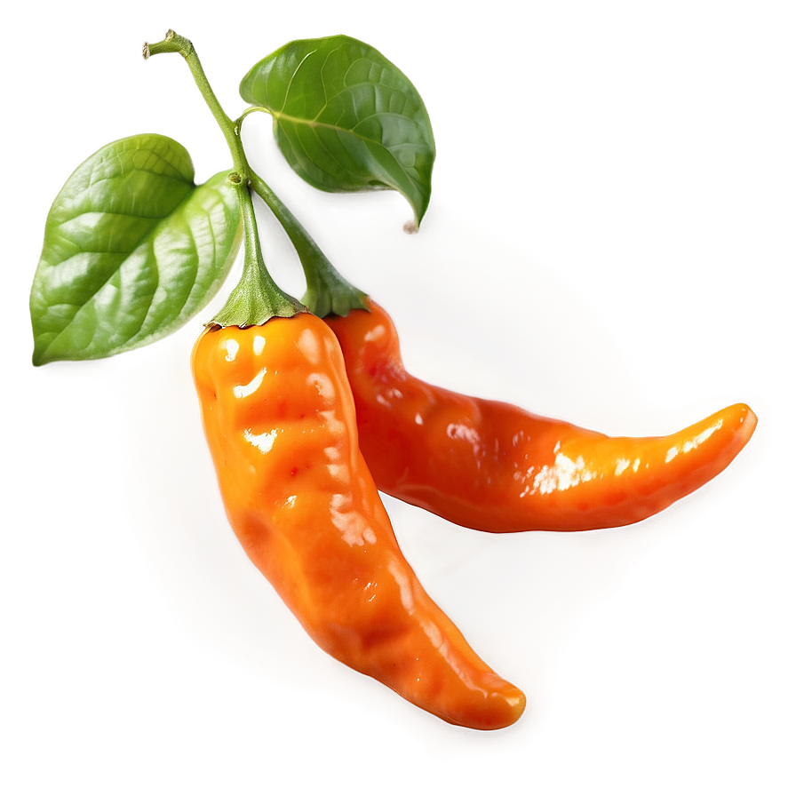 Habanero C PNG image