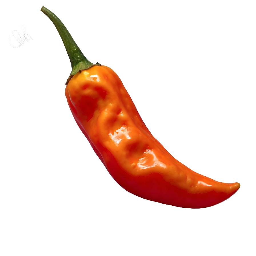 Habanero Chili Pepper Picture Png 06122024 PNG image