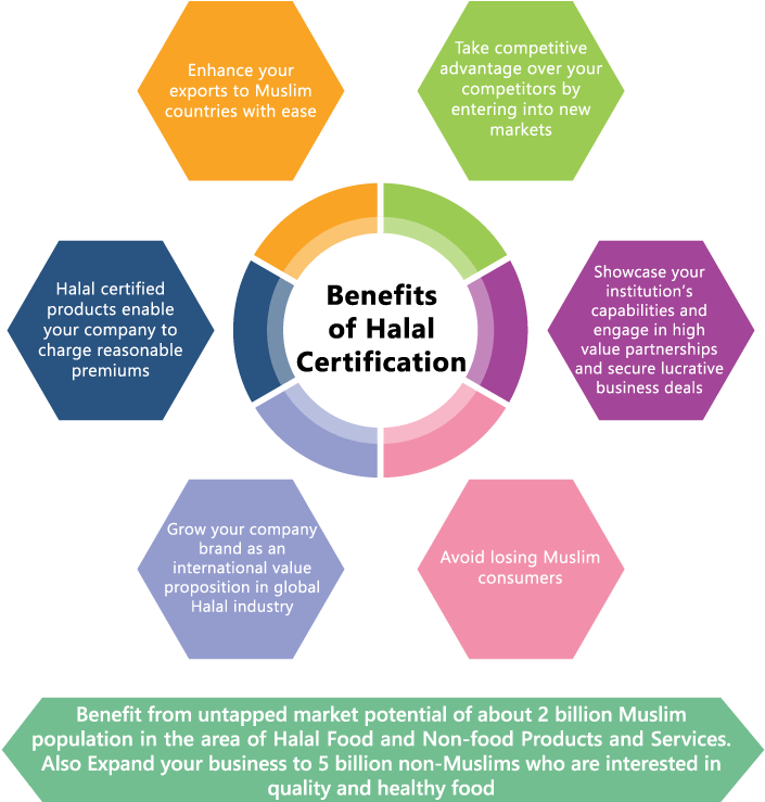 Halal Certification Benefits Infographic PNG image