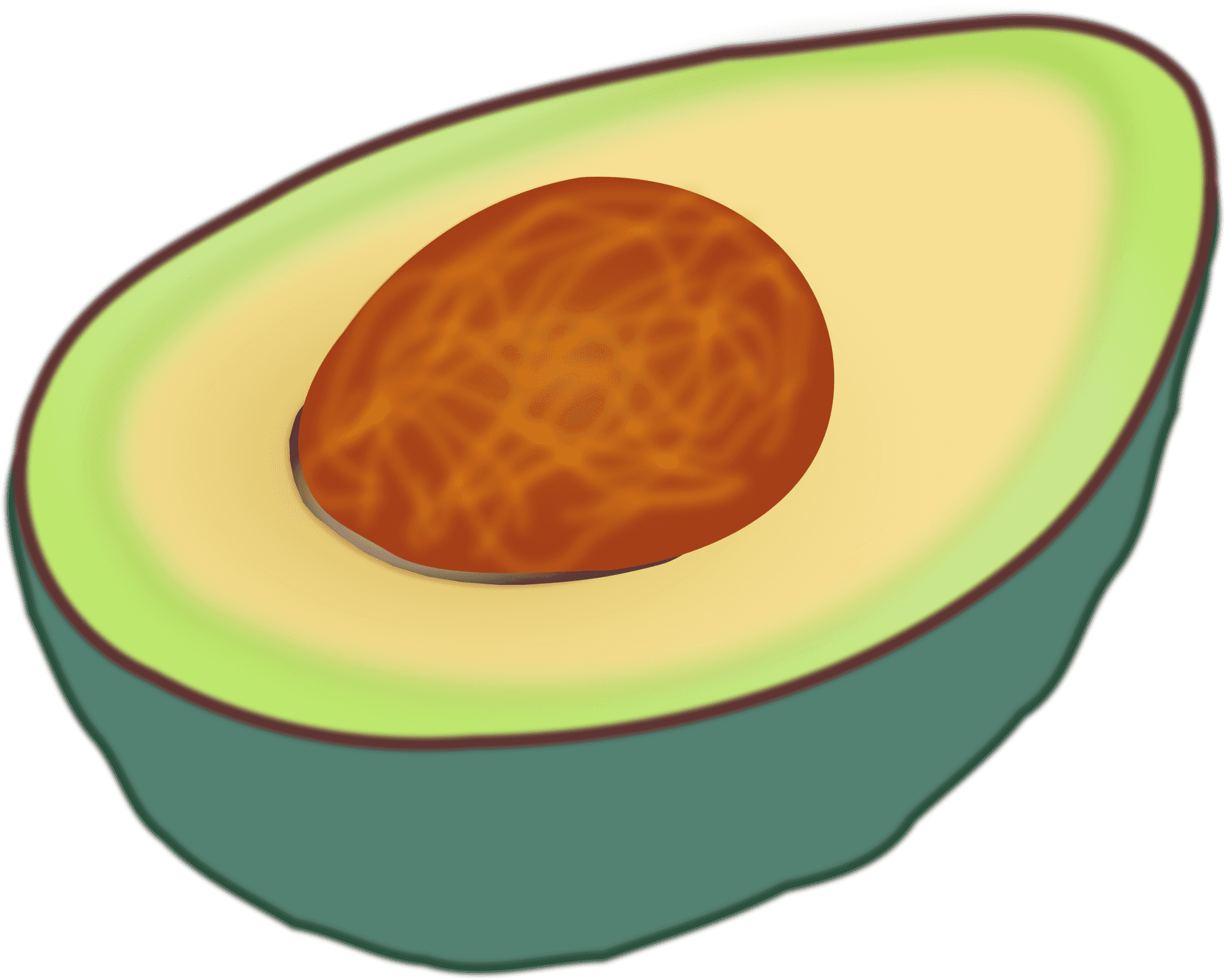 Half Avocado Illustration PNG image