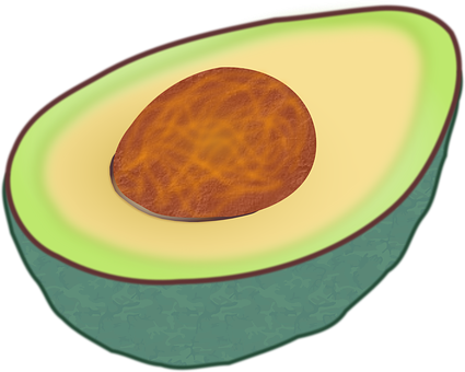 Half Avocadowith Pit PNG image