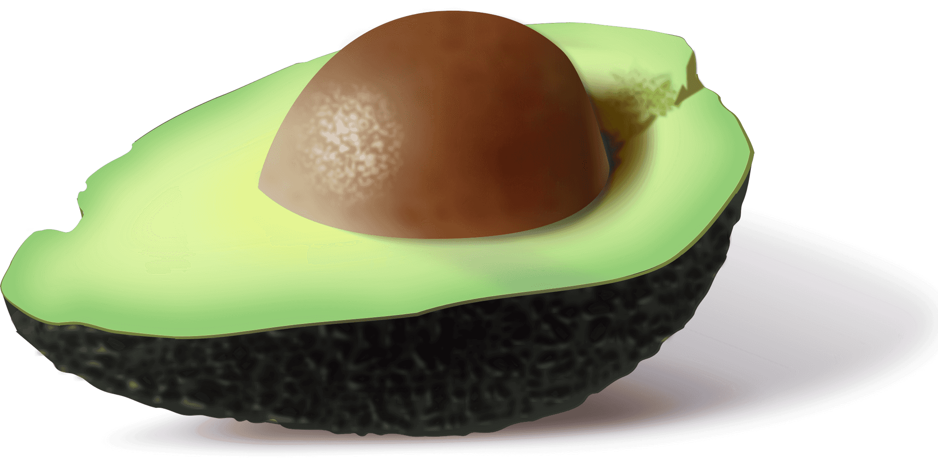 Half Avocadowith Pit PNG image