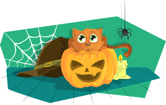 Halloween Catin Pumpkin Cartoon PNG image
