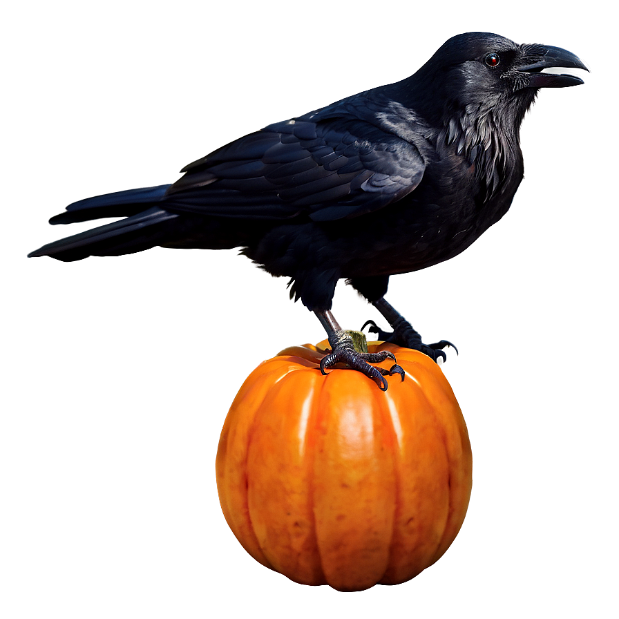 Halloween Crow Png 05232024 PNG image