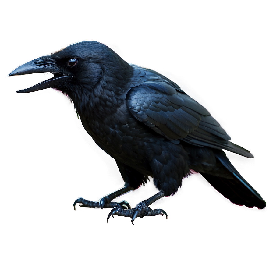 Halloween Crow Png 20 PNG image