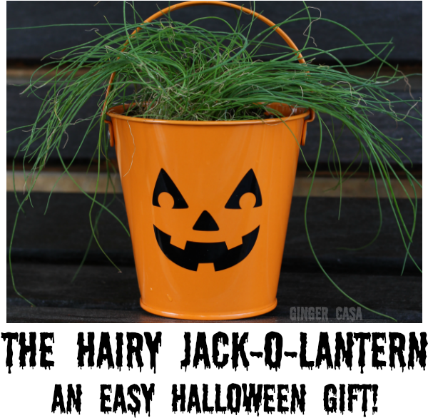 Halloween Plant Pot Jack O Lantern PNG image