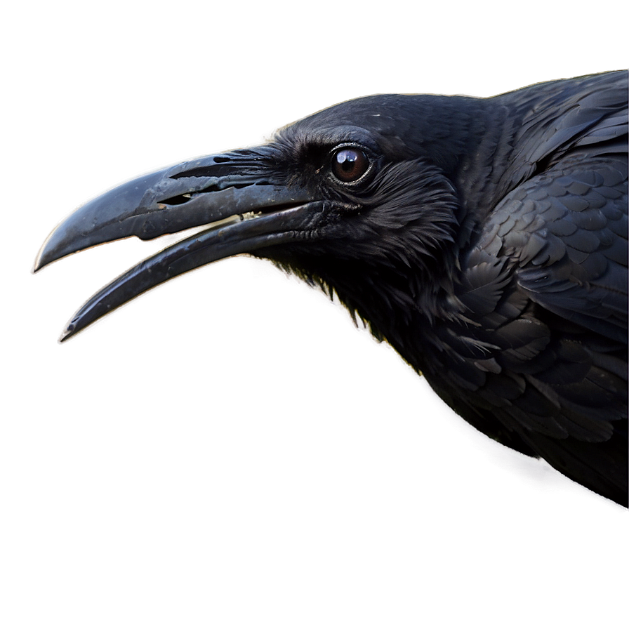 Halloween Raven Png Ycm33 PNG image