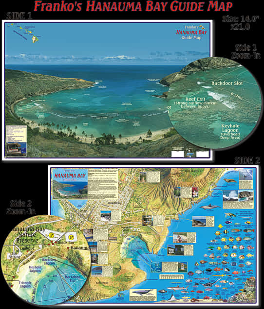 Hanauma Bay Guide Map PNG image
