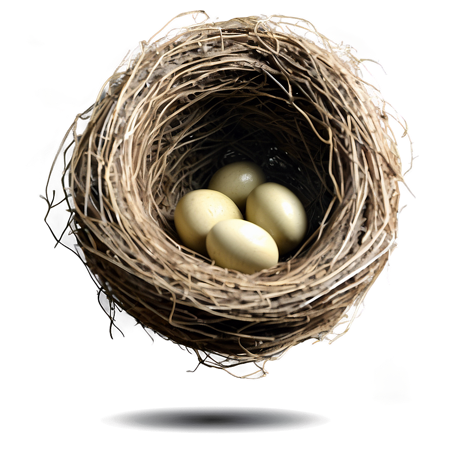 Hand Drawn Bird Nest Png Bcs18 PNG image