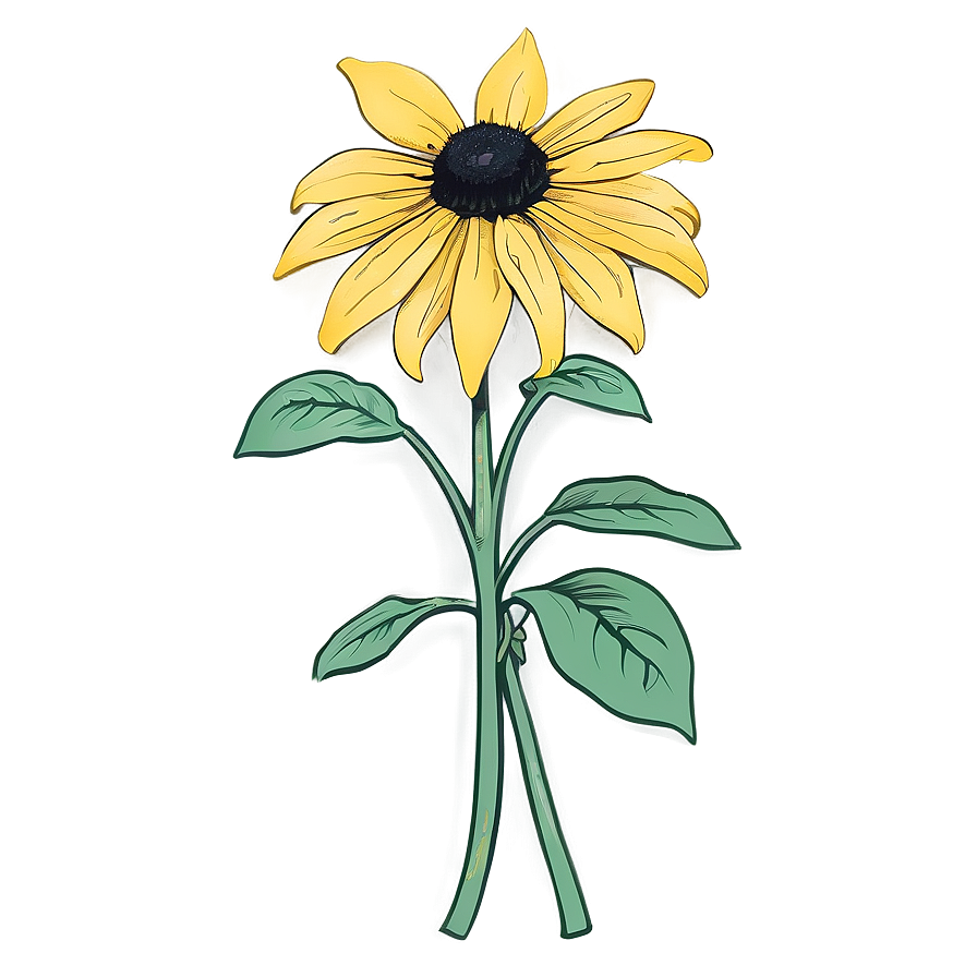 Hand Drawn Black Eyed Susan Png 76 PNG image