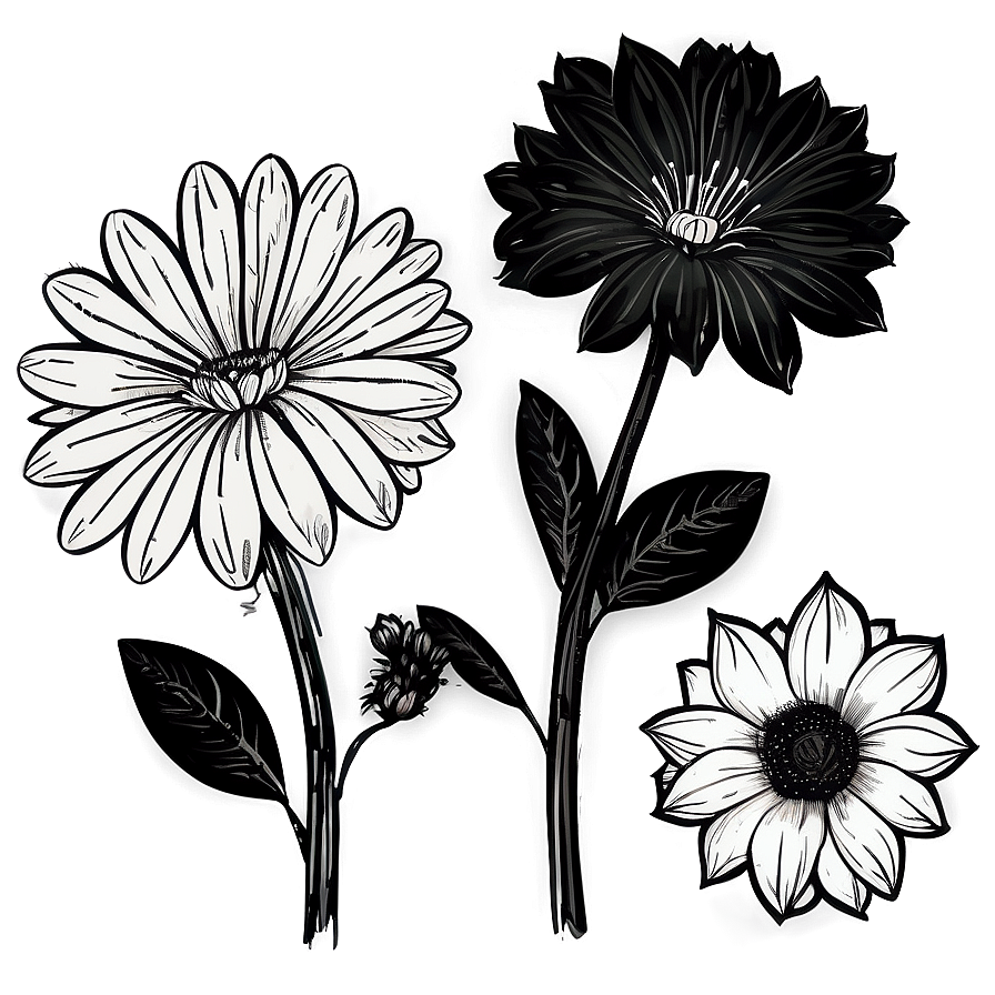 Hand Drawn Black White Flowers Png Rmb77 PNG image