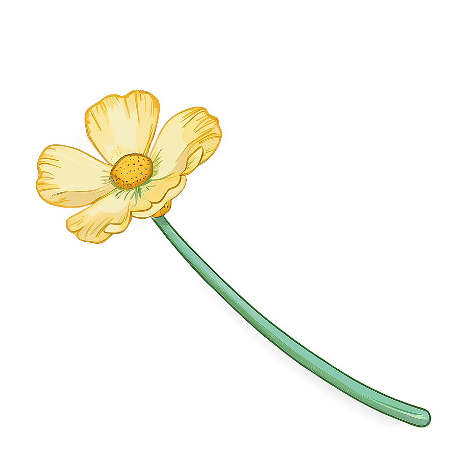 Hand-drawn Buttercup Png 06252024 PNG image