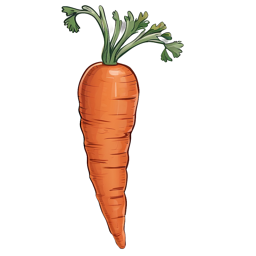 Hand Drawn Carrot Png Wgw PNG image