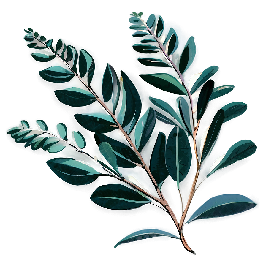 Hand Drawn Eucalyptus Png Vry34 PNG image